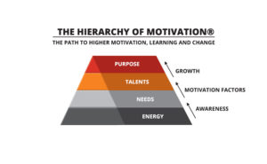 hierarchy of motivation